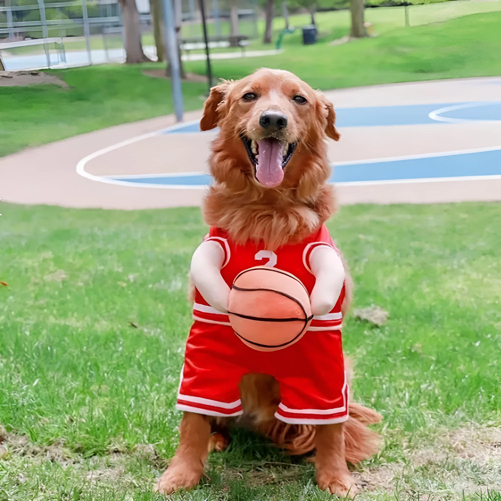 Creative dog basketball costume with built-in ball in red on a small dog