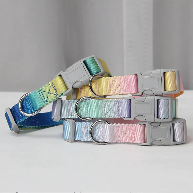 Nylon dog leash and collar set showing gradient colour pattern from pink to blue