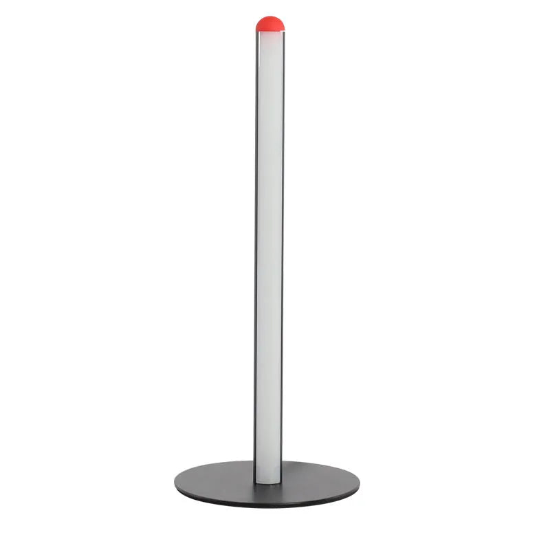 Modern simple vertical aluminum alloy floor lamp with USB plug in three height options