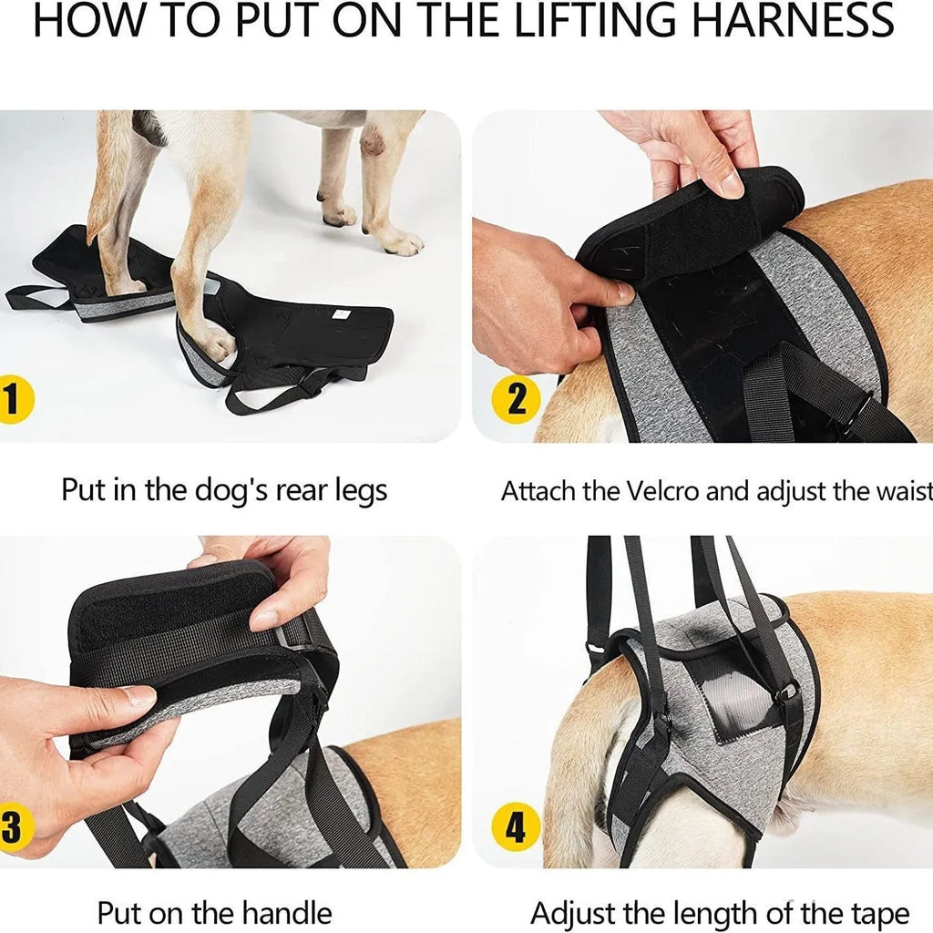 Grey neoprene dog rear leg support belt with adjustable waist and thigh straps laid flat.