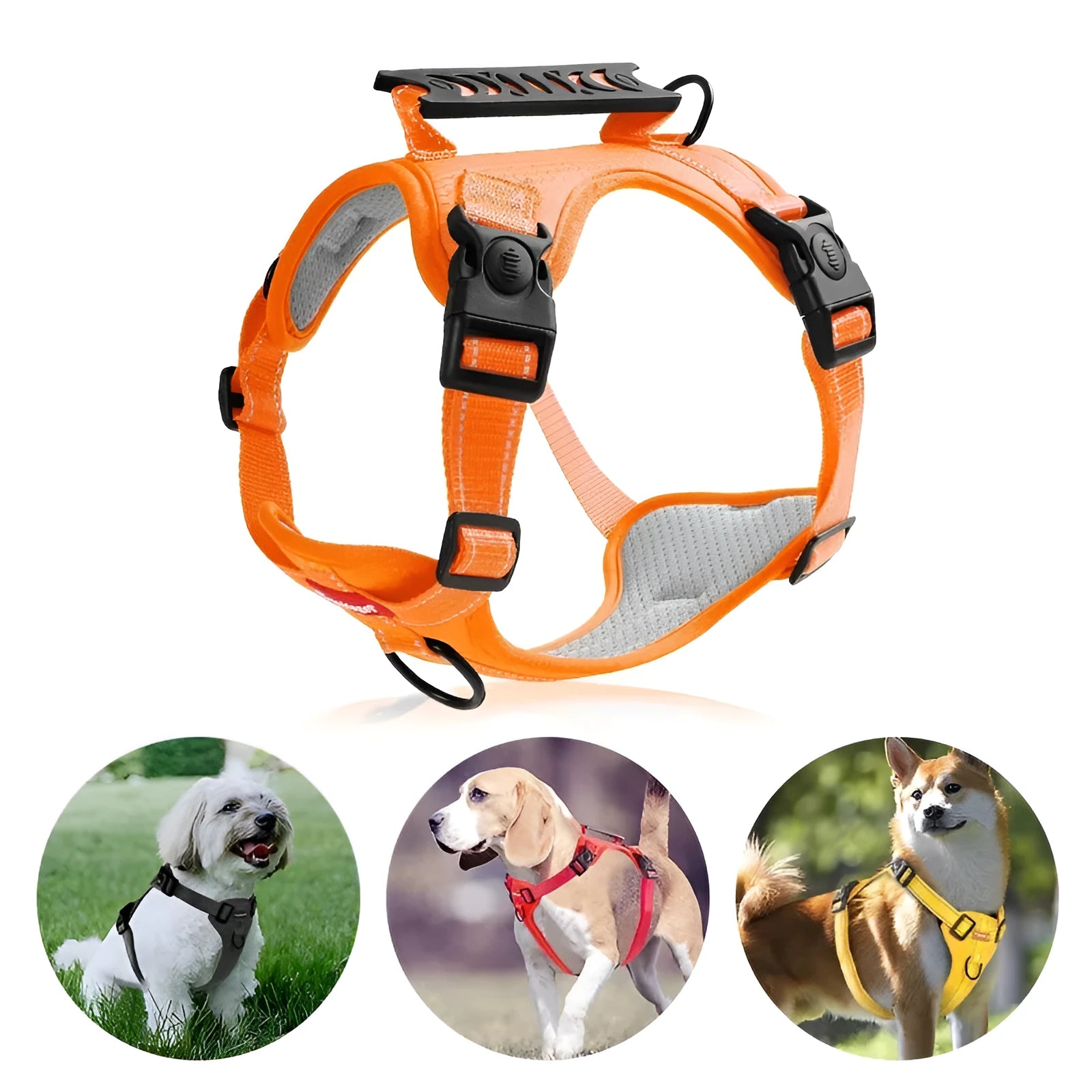Adjustable dog chest harness traction rope in multiple colours with breast strap