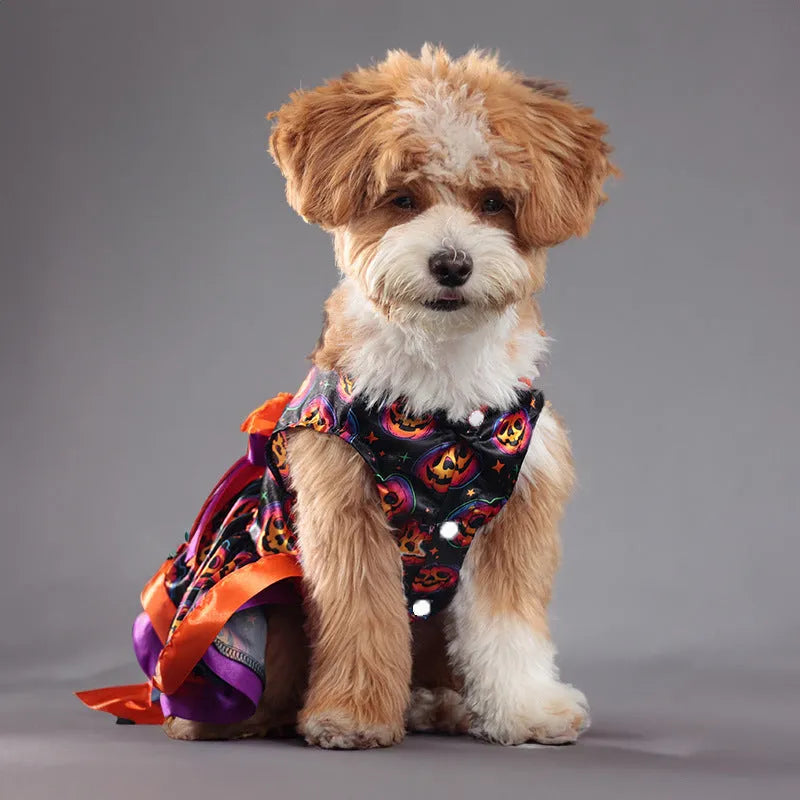 Halloween dog skirt with double-layer construction in colourful pumpkin pattern