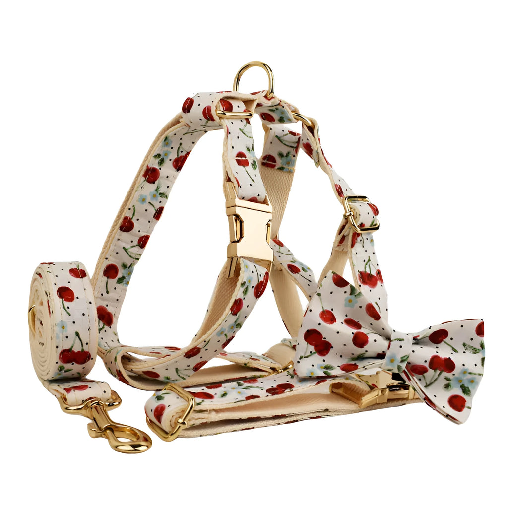 Red cherry printed dog collar and leash five-piece set with light gold buckle and bow strap