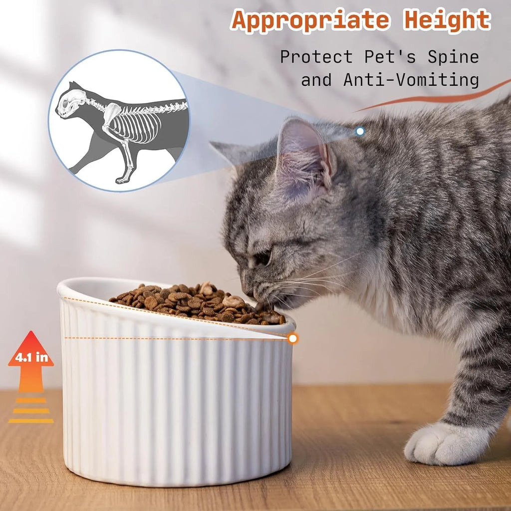 Ceramic elevated cat bowl in green colour with tilted whisker-friendly design for anti-vomit feeding height