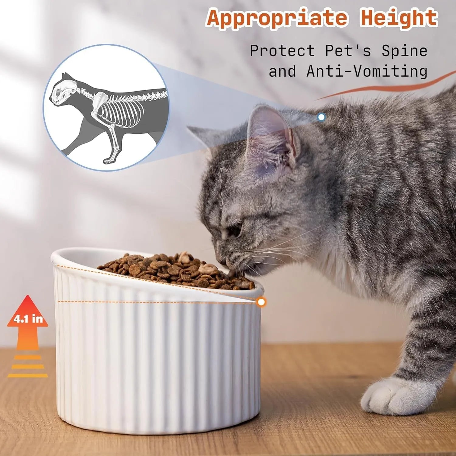Ceramic elevated cat bowl in green colour with tilted whisker-friendly design for anti-vomit feeding height