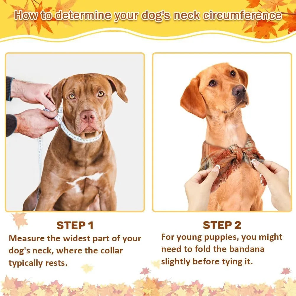 Vivifying fall dog bandana with plaid pattern, tassel edges, and double-layer cotton in autumn colours