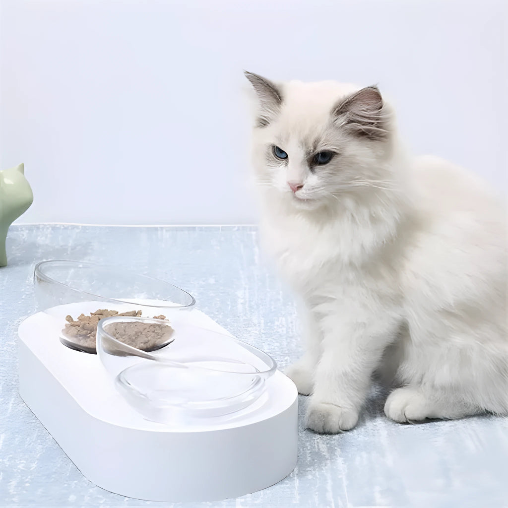 15° adjustable cat bowl set single and double food bowl PC ABS plastic anti-overfill design