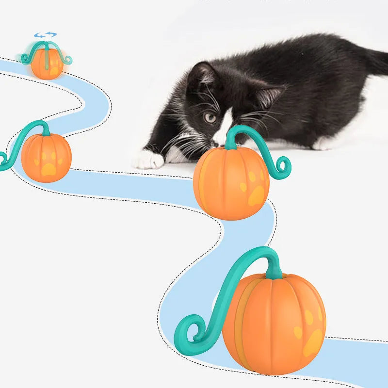 Electric cat toy luminous ball in plastic, available in watermelon and pumpkin colour options for interactive feline play