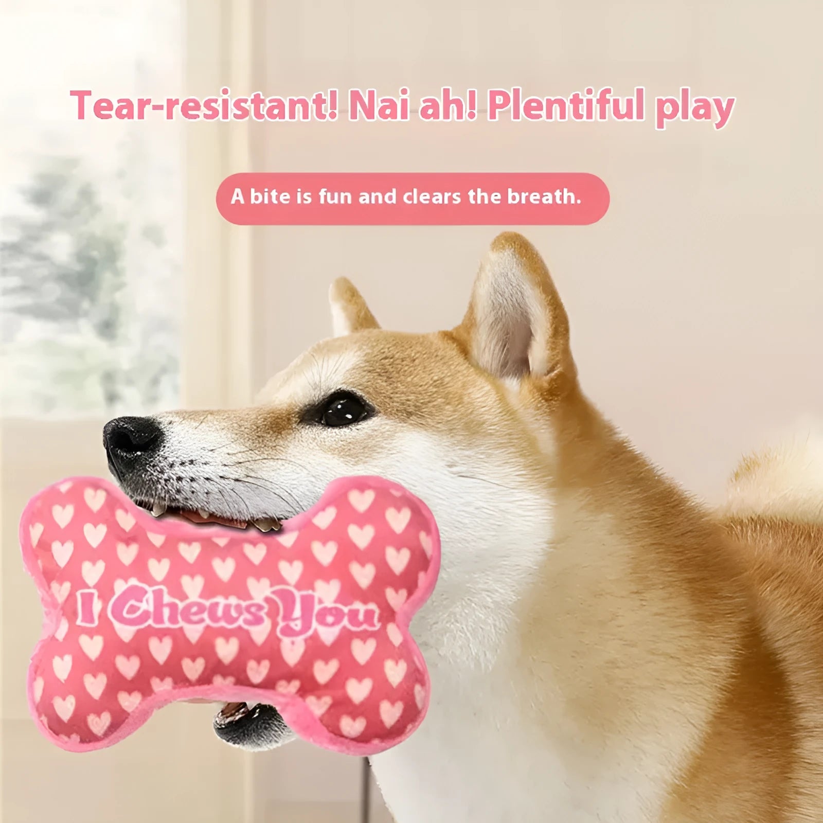 PP plastic pet chew toy with tooth cleaning texture and vocalisation feature in multiple colour options