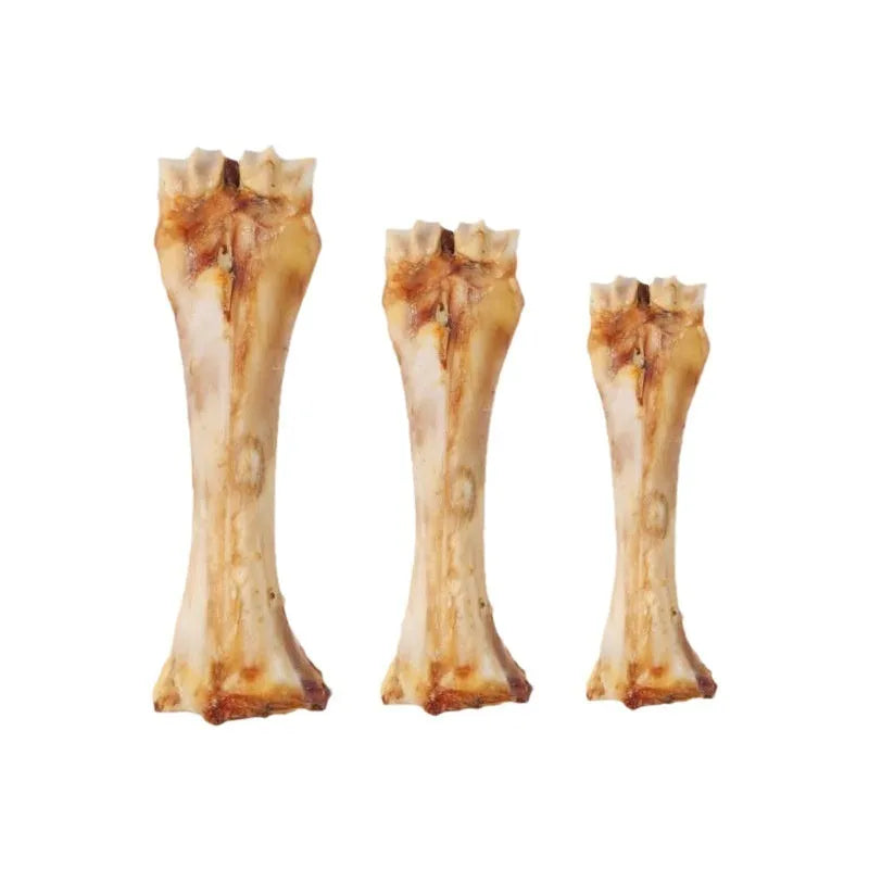 Pet molar rod dog chew toy in large, medium, and small sizes for teeth cleaning and training.