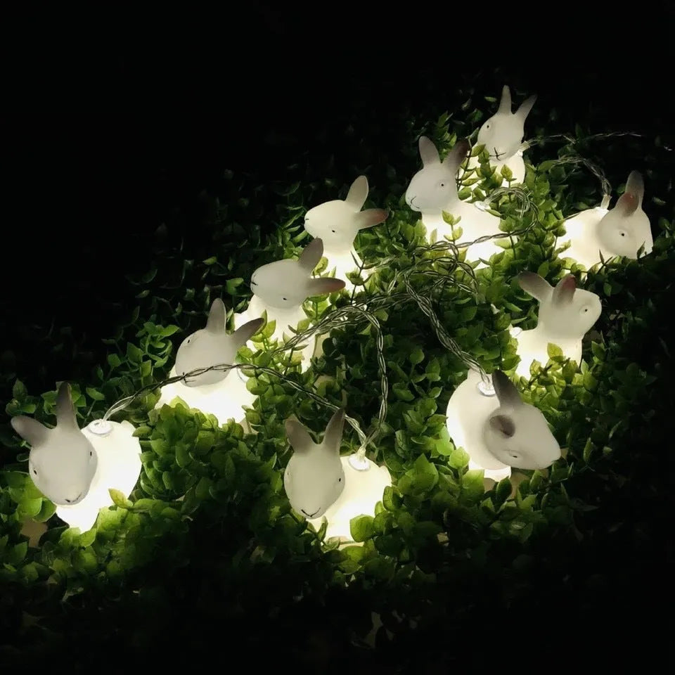 Easter plastic egg lamp string with 10 warm white LEDs, USB and battery power, manual switch