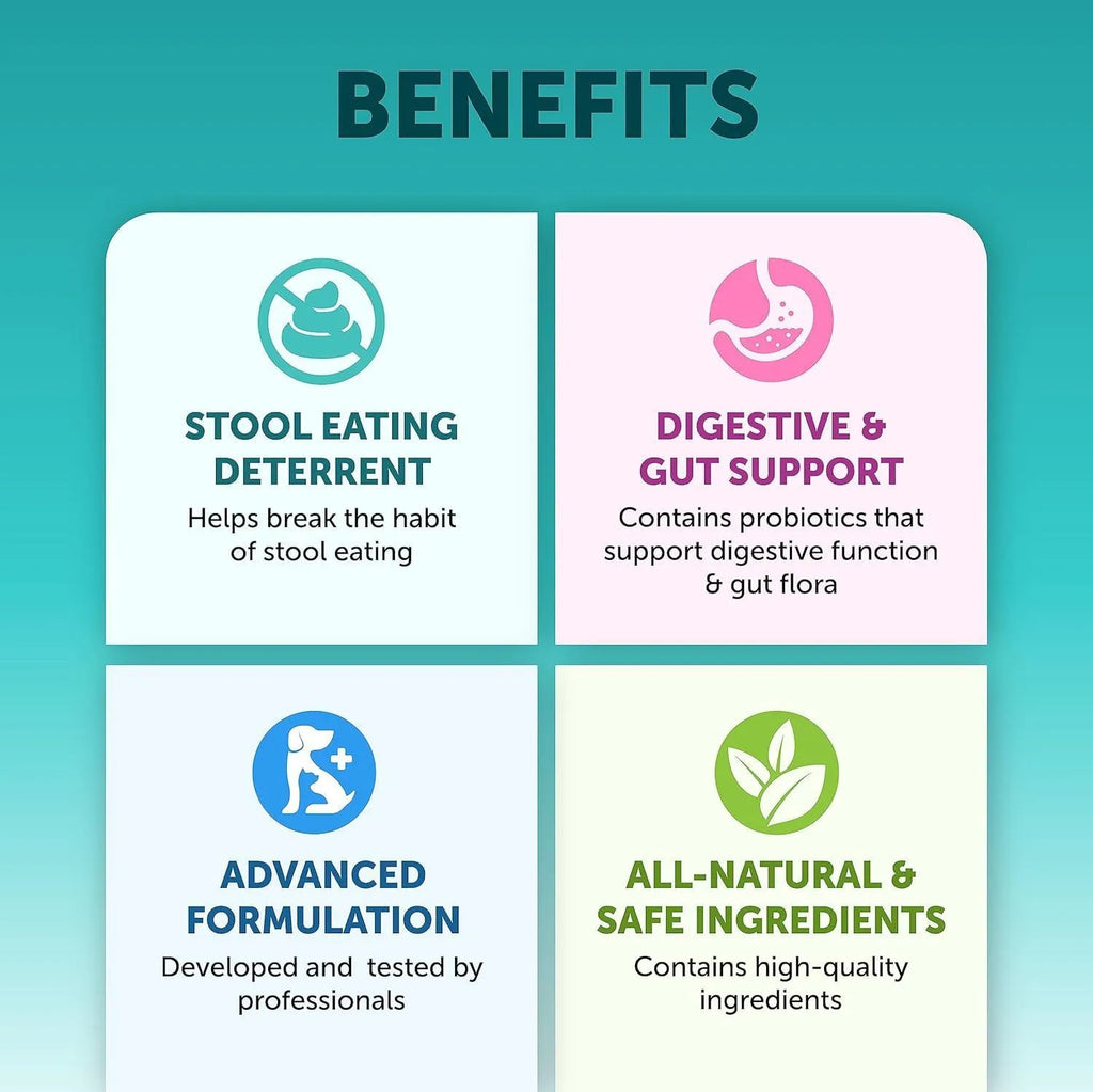 Pet Intestinal Probiotic Chewable Tablets 180 pieces pumpkin flavour for dog digestive support