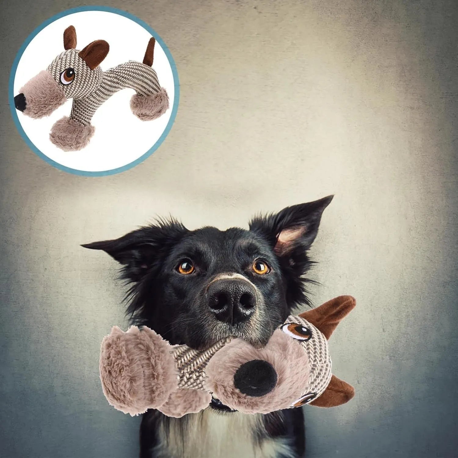Large dog squeaky plush toy with squeaker, suitable for medium and large dogs, in Monkey design