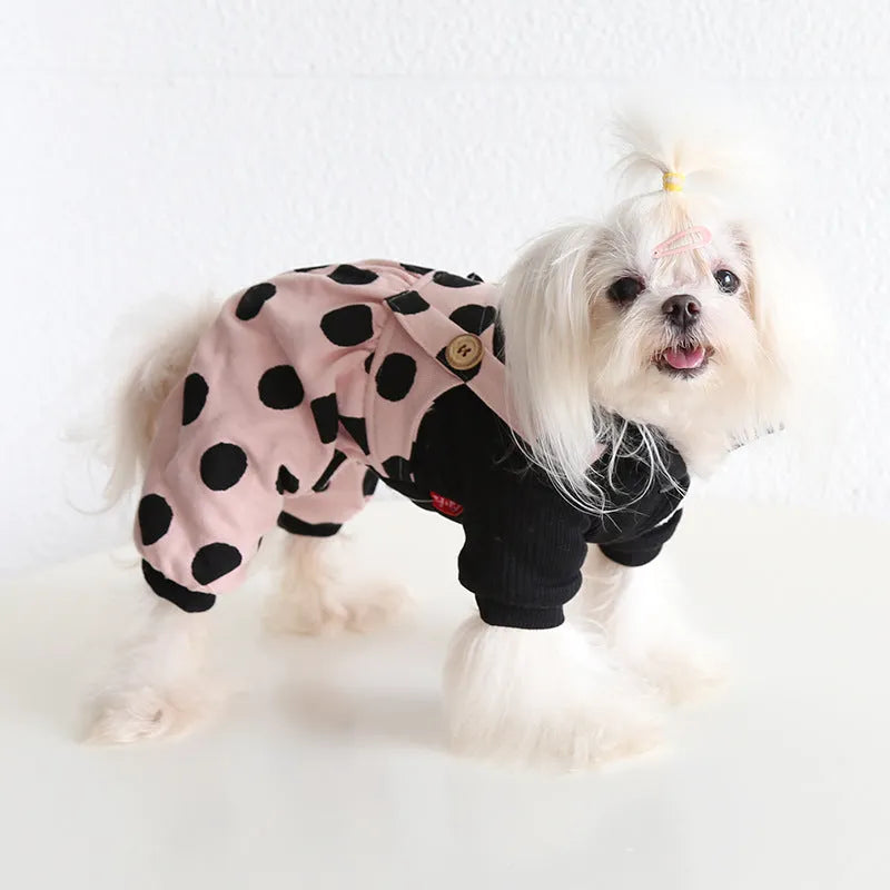 Pet couple outfits with coordinated shoulder straps in four-legged and skirt styles