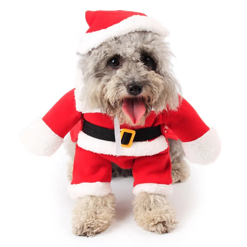 Red polar fleece pet Christmas costume with Santa Claus design on a standing dog