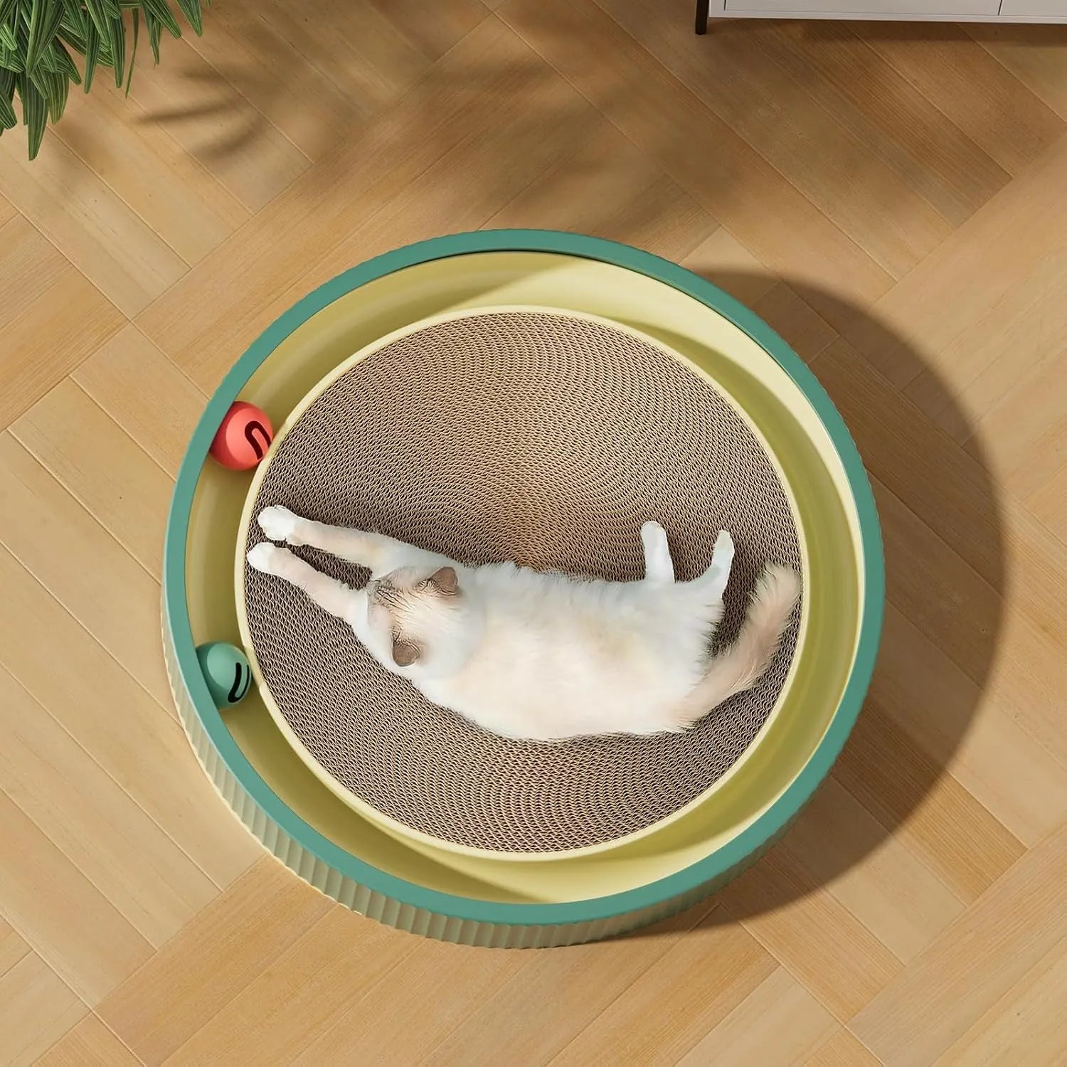Large circular cat scratching board with integrated ball toys on green background