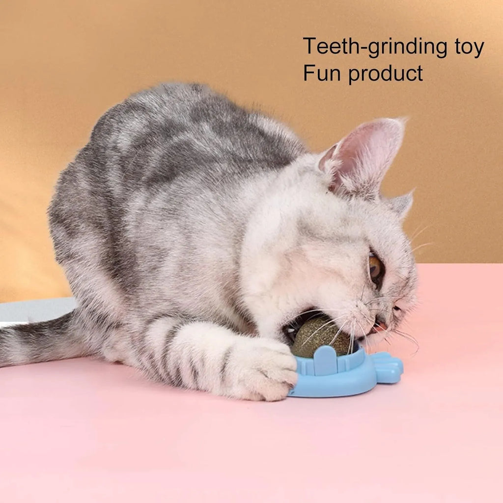 Blue carrot-shaped catnip ball toy with self-adhesive sticker for wall mounting