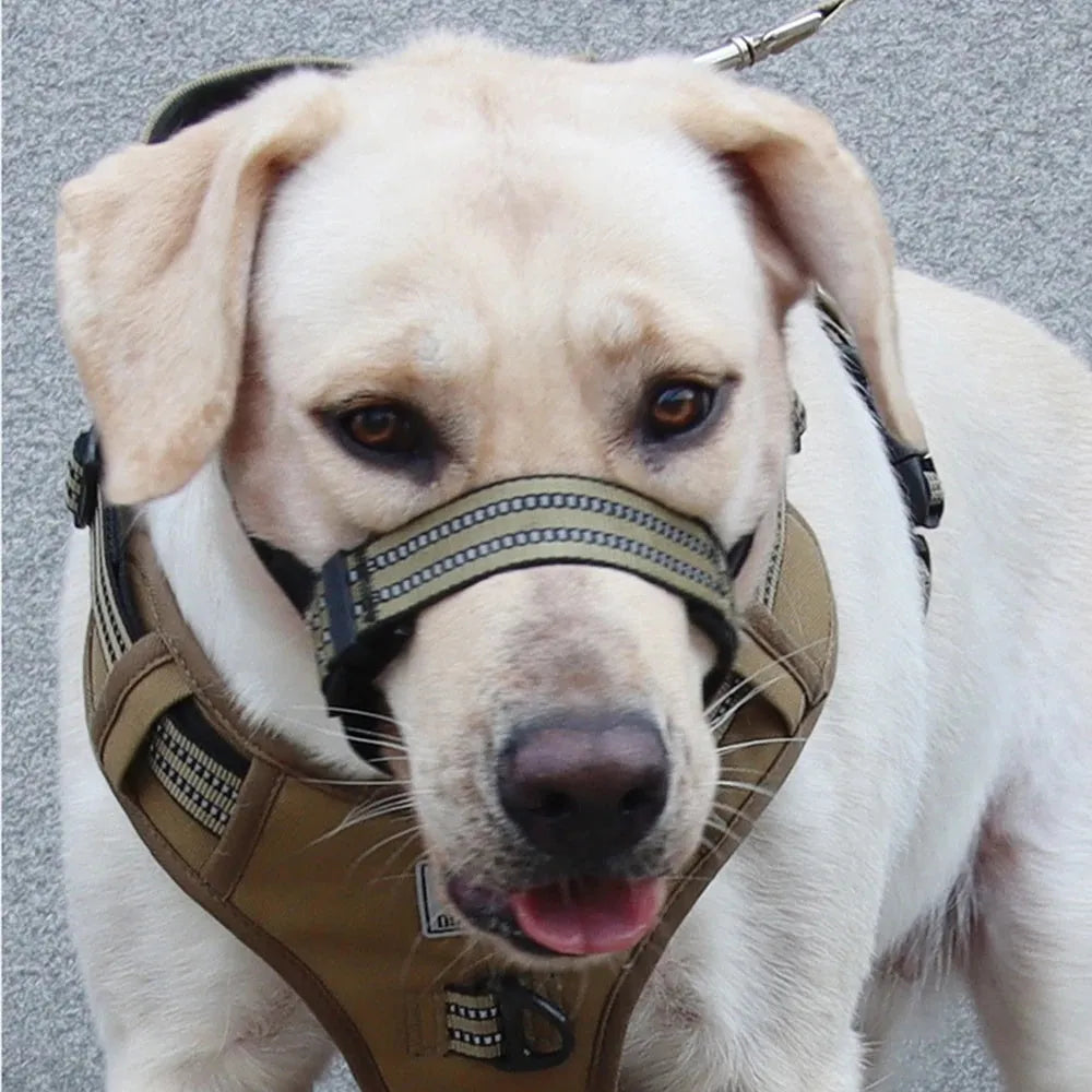 Anti-biting reflective dog muzzle for medium large dogs, adjustable nylon with breathable mesh, available in black blue khaki red