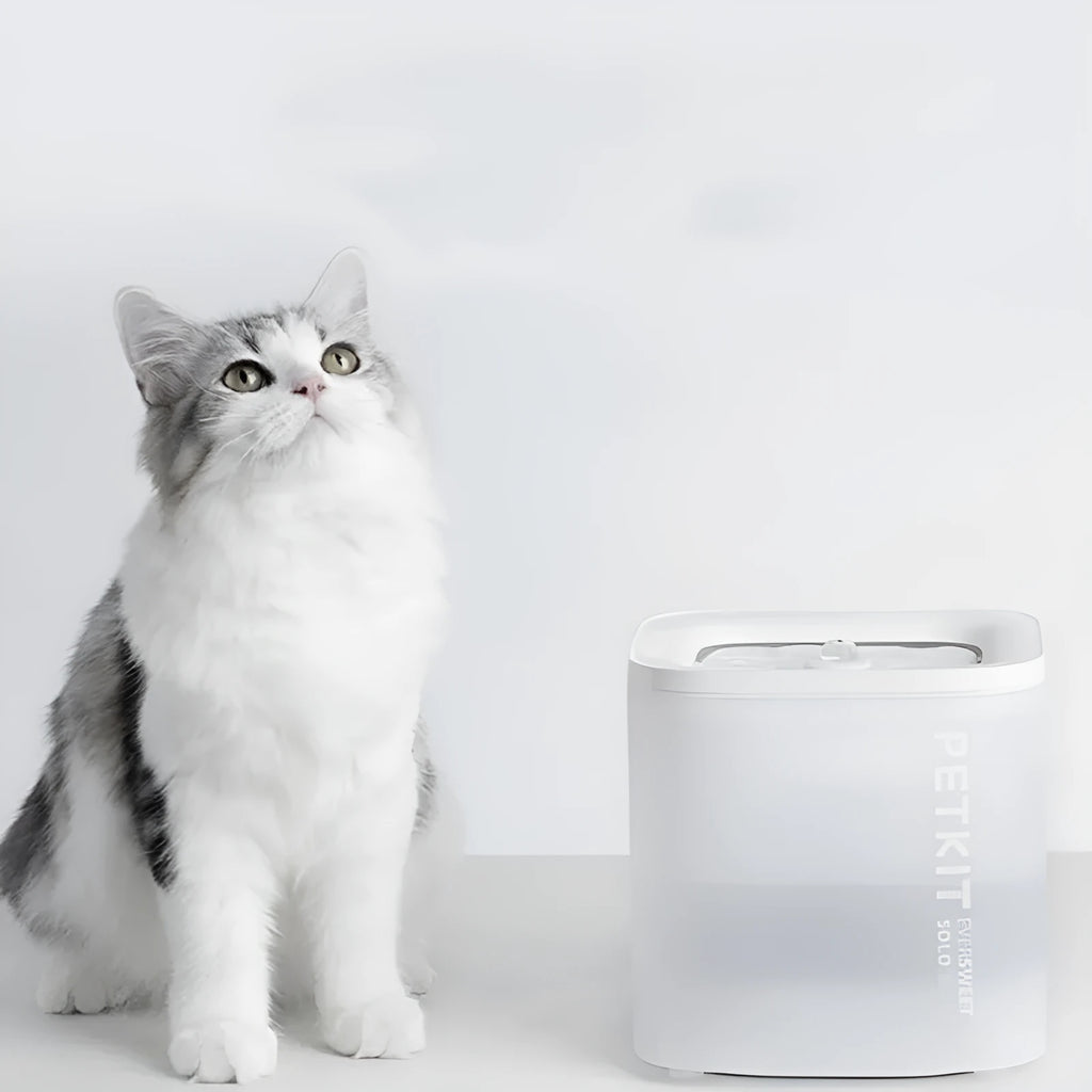 Smart pet water dispenser for dogs and cats with wireless loop filter and adapter