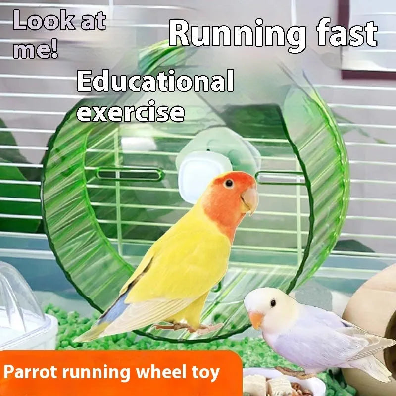 21cm plastic parrot running wheel toy in transparent, green, grey, orange, or purple colours with stand