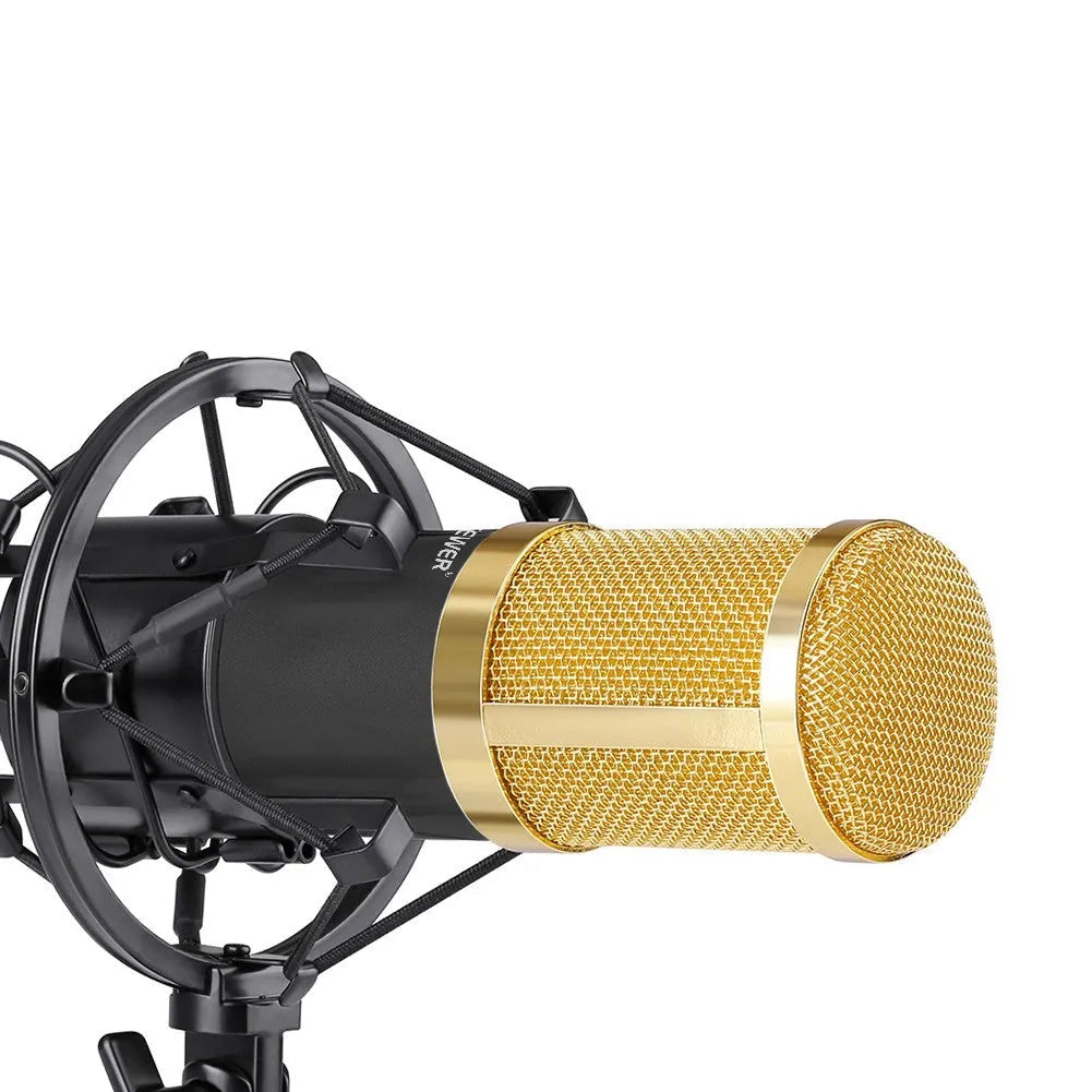 NW-800 black metal condenser microphone with shock mount and foam cap on stand