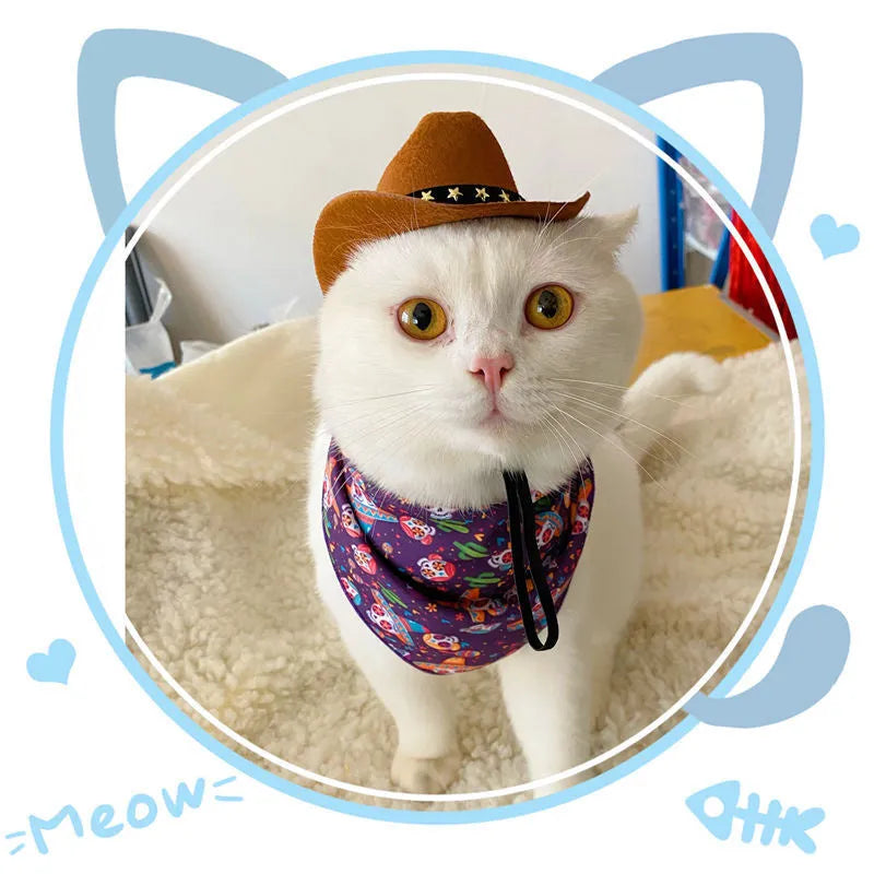 Cat wearing a black cowboy hat with star design, made from soft non-woven fabric, adjustable strap, side view