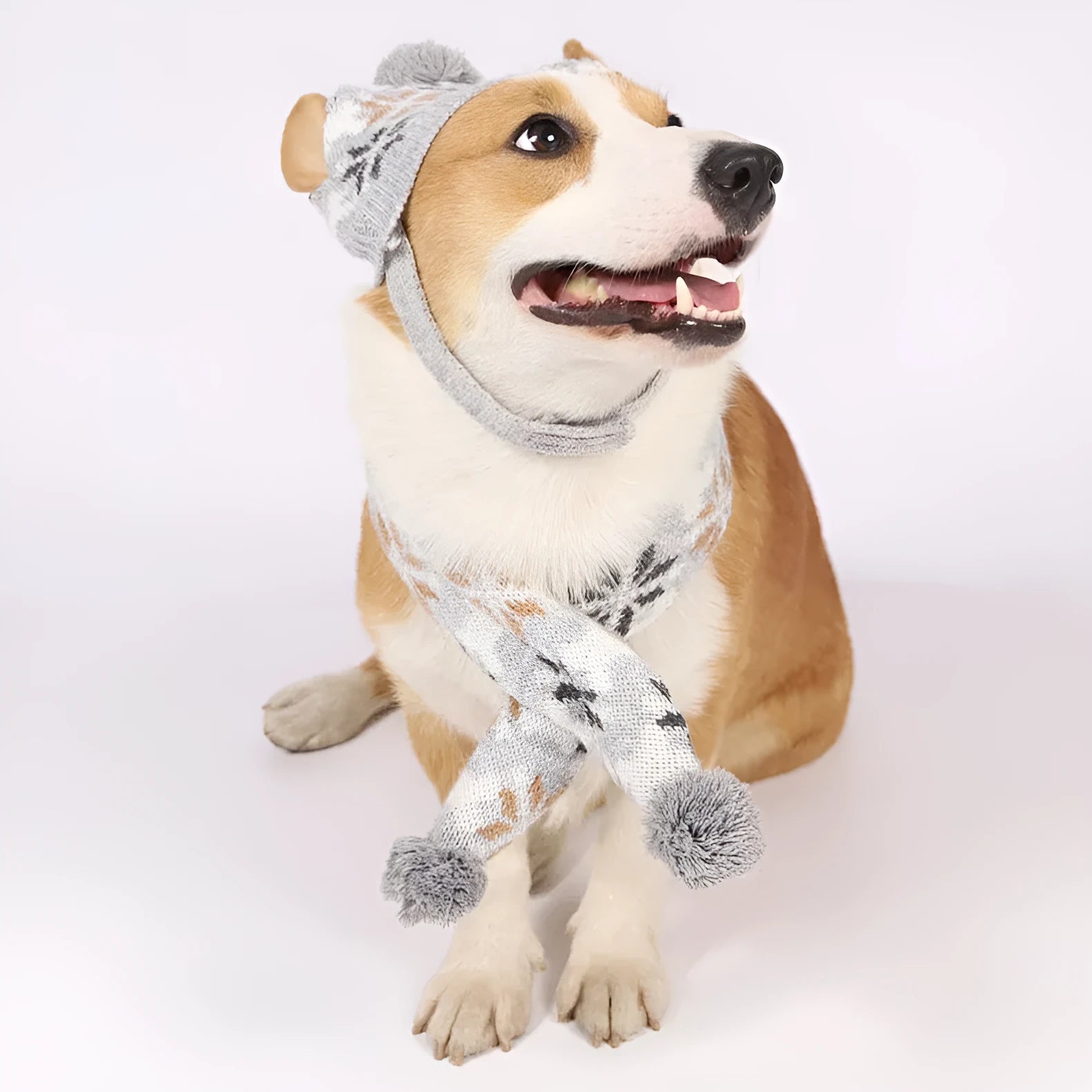 Japanese style retro jacquard acrylic knit pet clothes set with sweater, hat and scarf in gray for dogs and cats