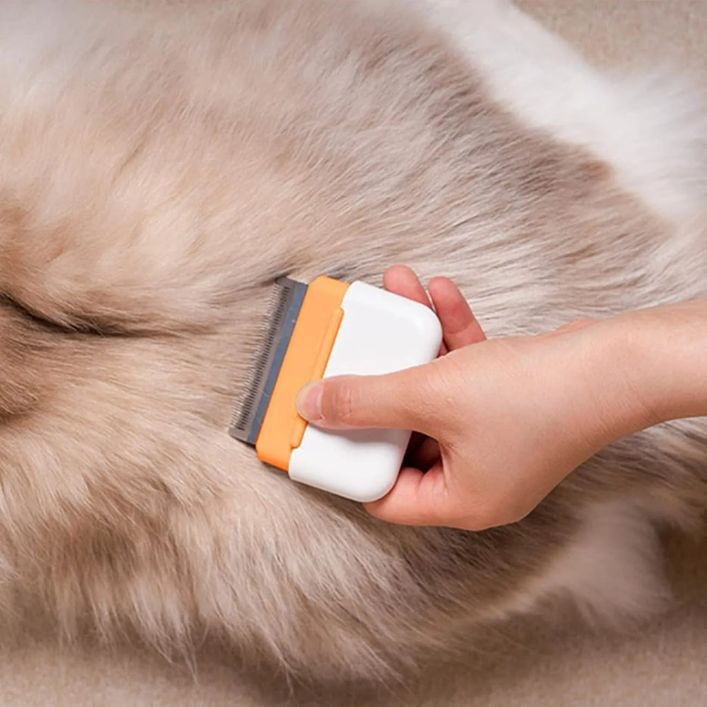 Blue double-sided pet comb for grooming and removing tangled fur from cats and dogs.