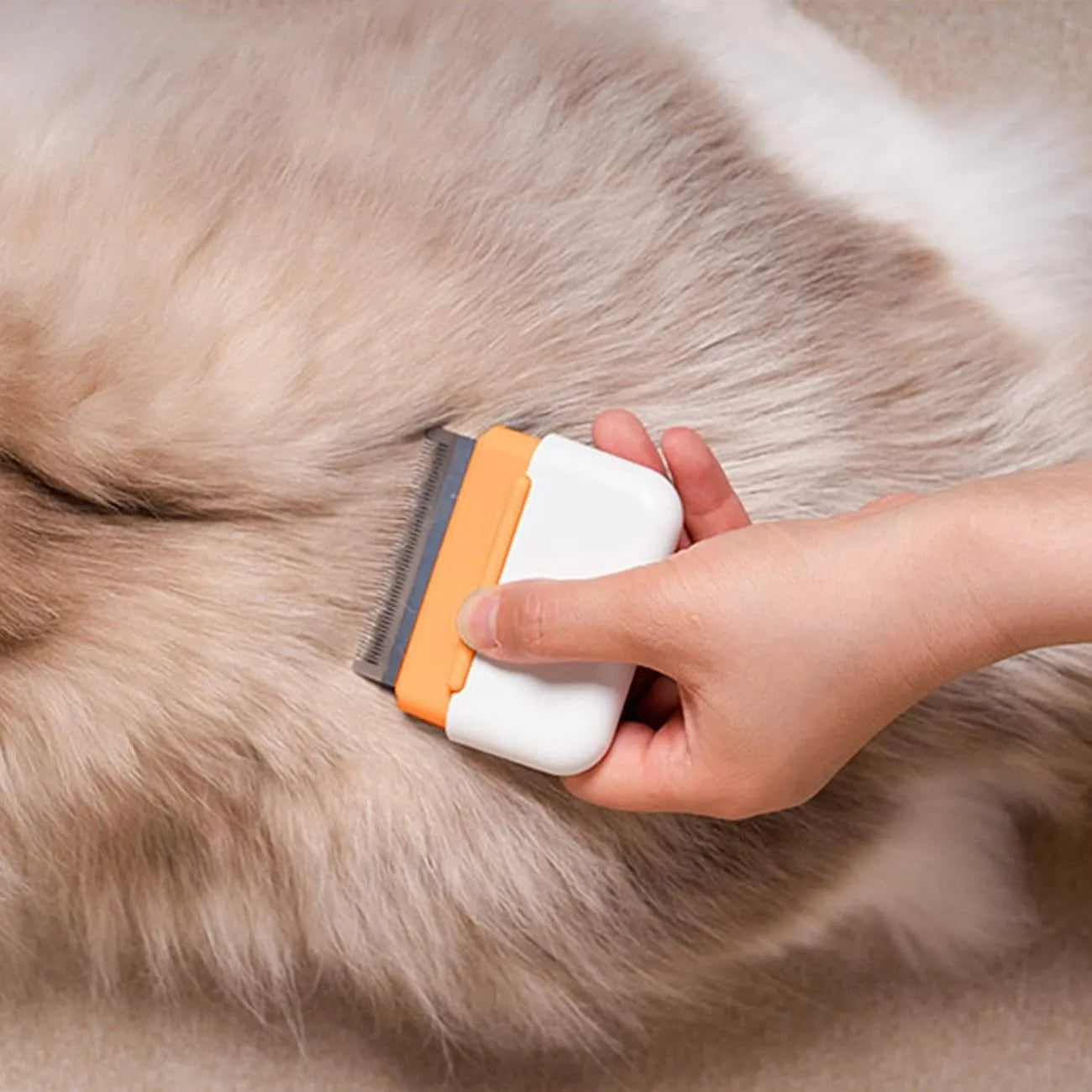 Blue double-sided pet comb for grooming and removing tangled fur from cats and dogs.