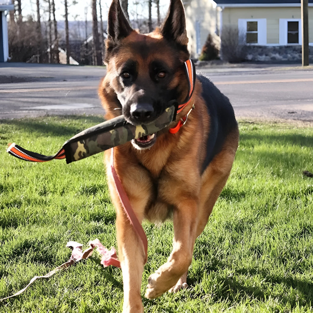Reflective dog training bite stick with jute surface and yellow edge, 55cm total length, on outdoor ground
