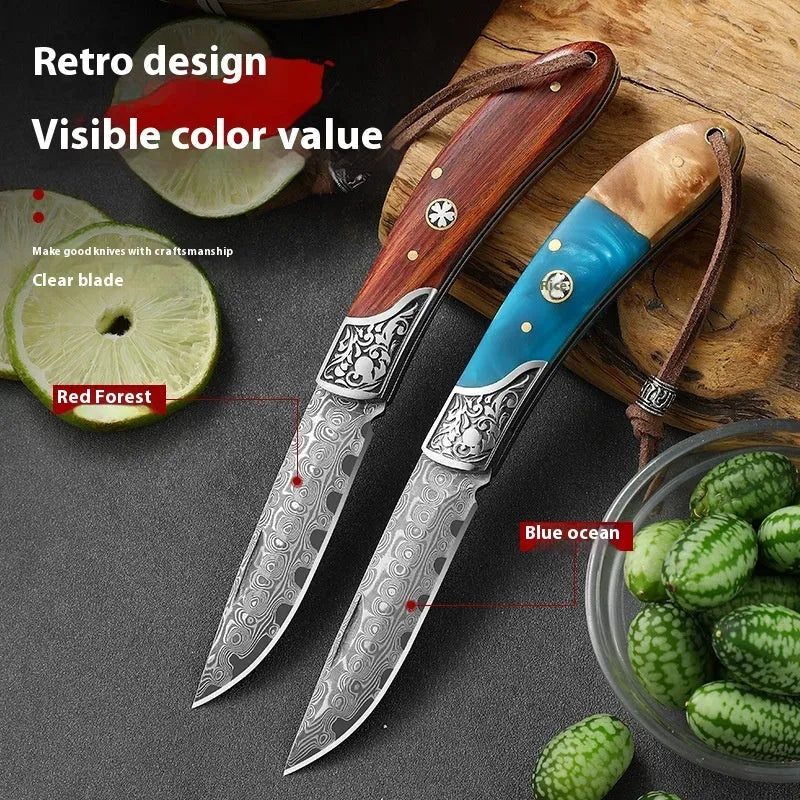 VG10 folding mini outdoor knife with stainless steel blade, dovetail styling, red forest colour