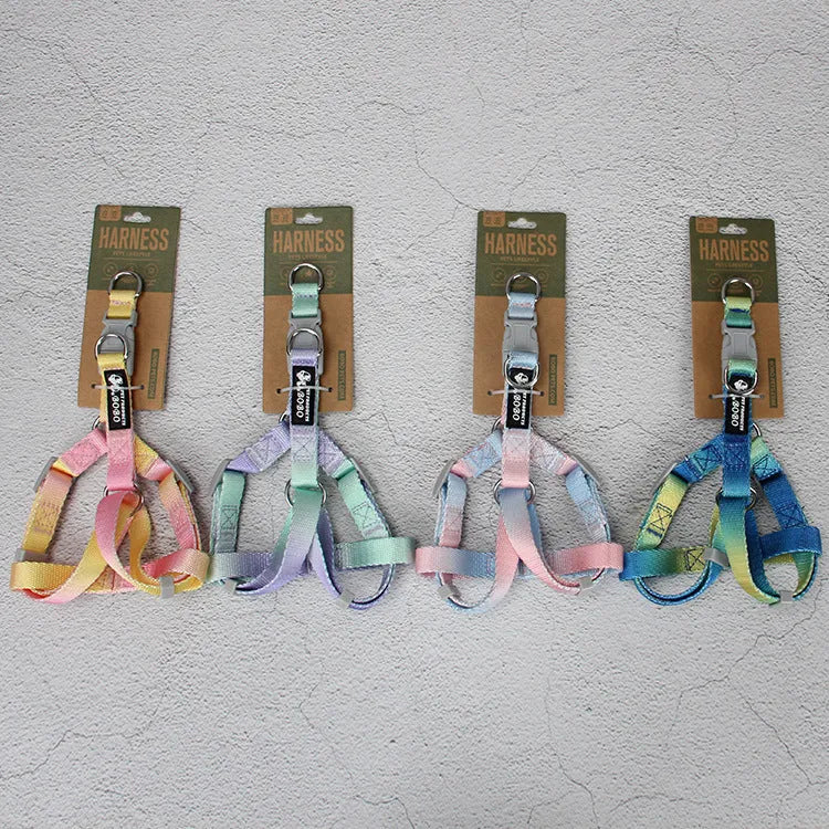 Nylon dog leash and collar set showing gradient colour pattern from pink to blue