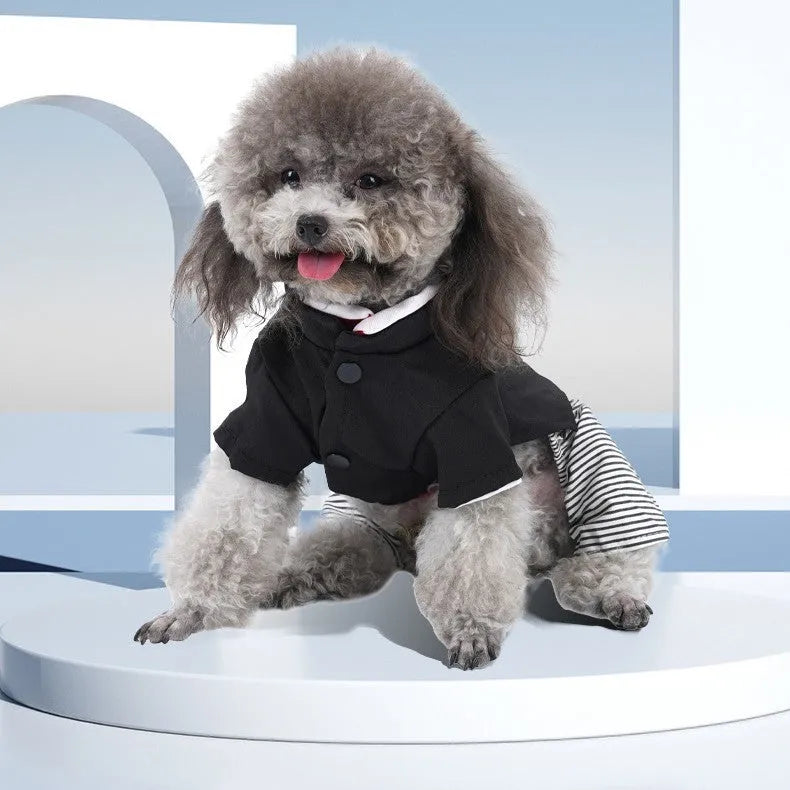 Thin cotton dog clothes for poodles in skirt or four-legged pants styles available in four sizes
