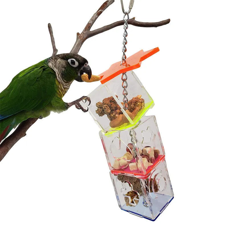 Clear acrylic parrot foraging toy measuring 5 cm by 5 cm by 32 cm for bird enrichment