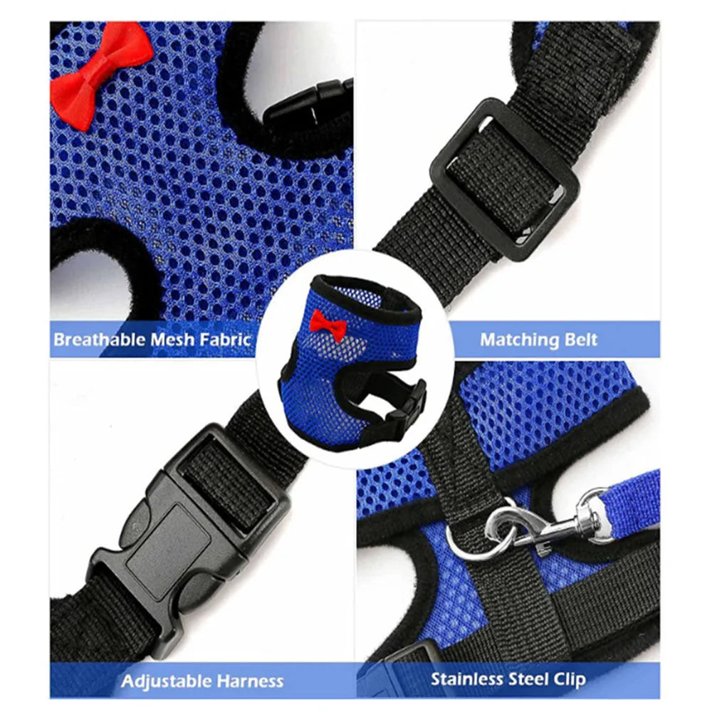 Pet chicken duck poultry vest harness with matching collar bow and 110cm traction rope on a bird