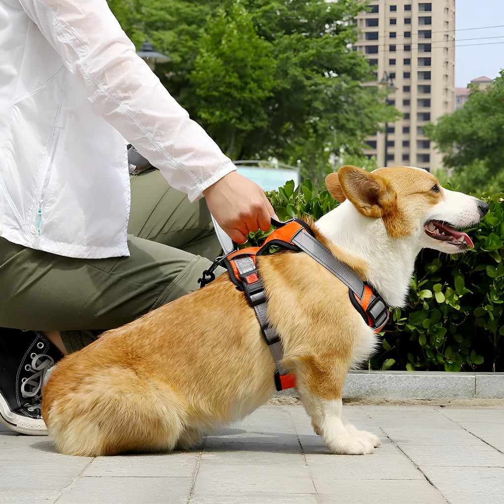 Adjustable dog harness with chest strap and detachable hand holding rope in multiple colours
