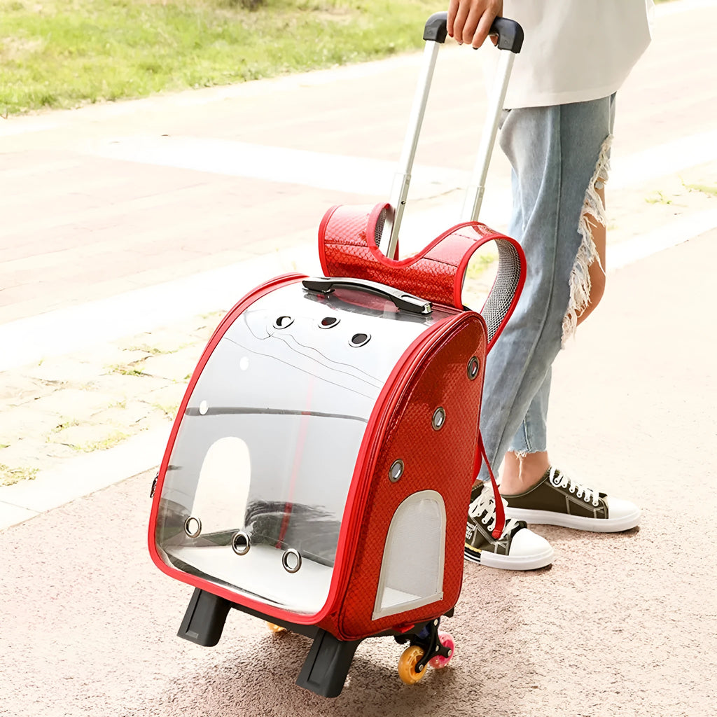 Transparent folding pet trolley with Oxford cloth backpack in blue colour for small dog transport