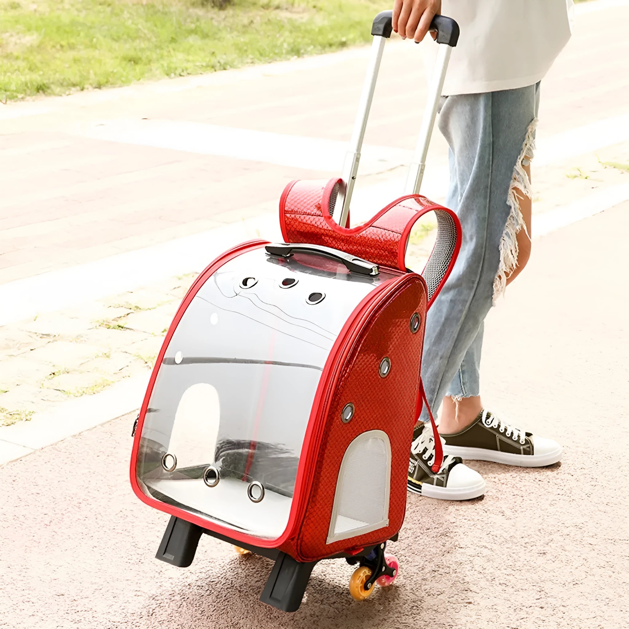 Transparent folding pet trolley with Oxford cloth backpack in blue colour for small dog transport