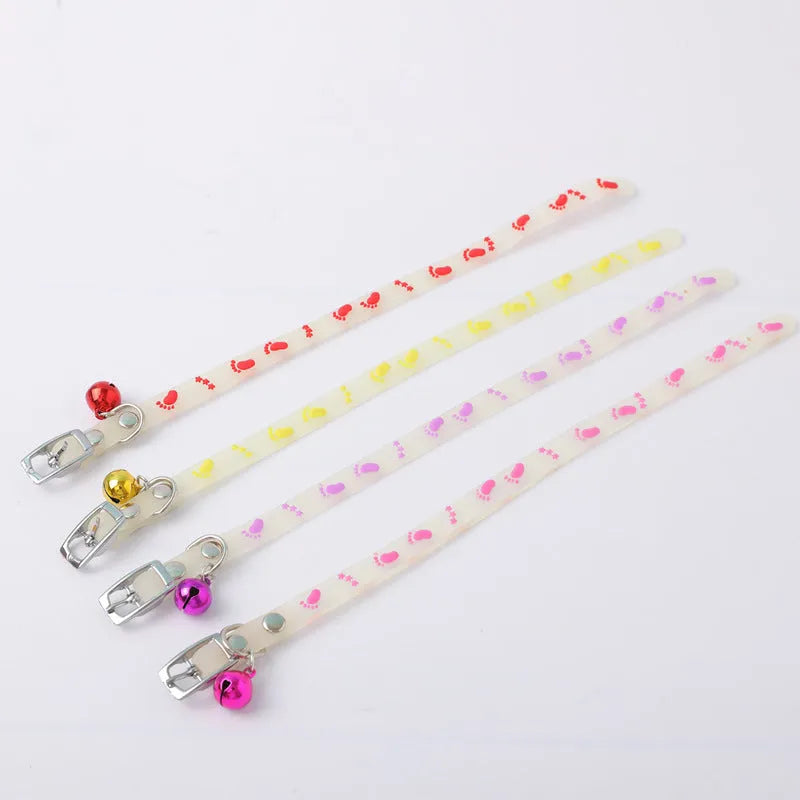 Cat wearing luminous collar with night illumination and metal bell on adjustable silicone chain