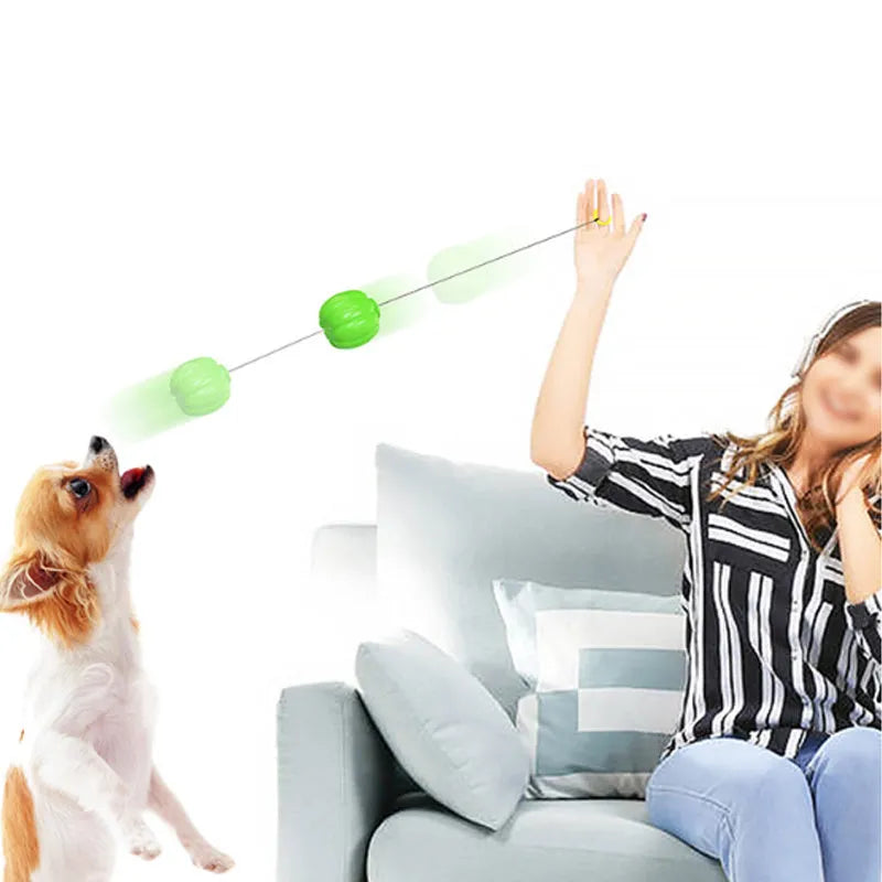 Pumpkin-shaped plastic dog chew toy with squeaker for small breed puppies