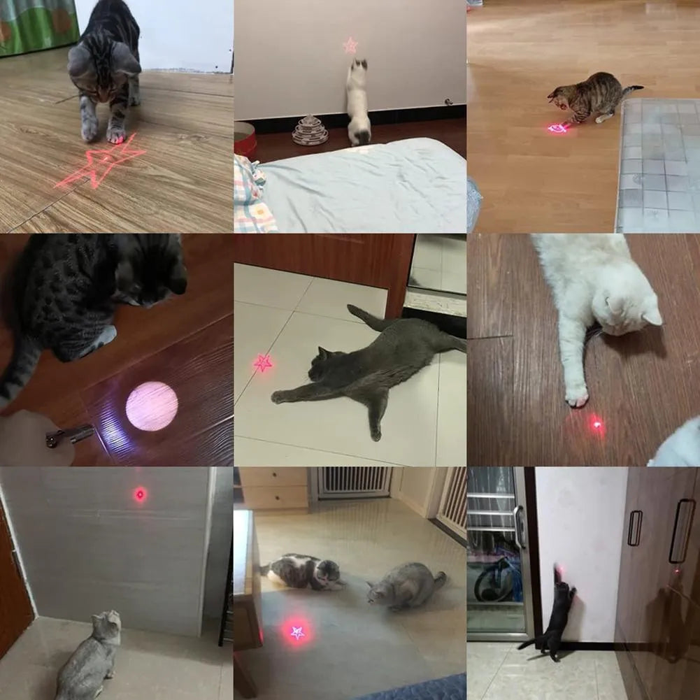 USB-rechargeable infrared cat teaser toy with keychain loop in black or pink