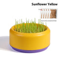Hydroponic cat grass kit with soilless growing cups and seed packs in three colour options