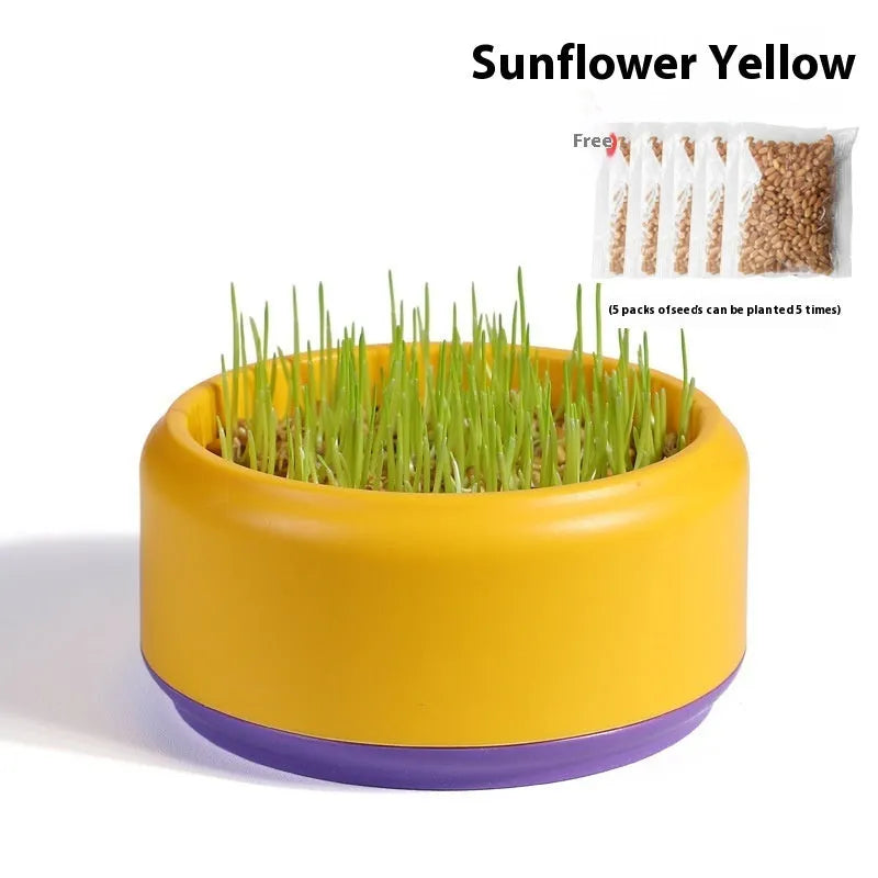 Hydroponic cat grass kit with soilless growing cups and seed packs in three colour options
