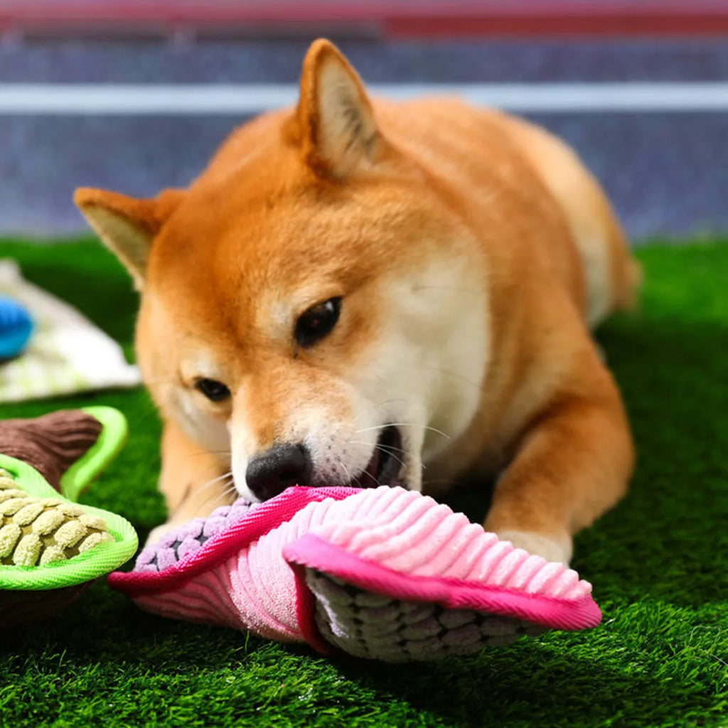 Bite-resistant teddy dog toy with sound bone model in blue, green, and pink colours