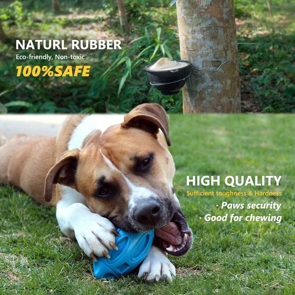 Blue green orange squeaky rubber chew ball dog toy for aggressive medium large breed chewers