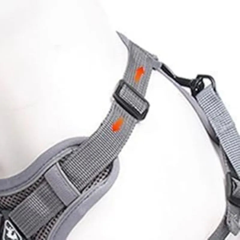Soft mesh cat harness and leash set in blue with reflective chest patch on a cat outdoors