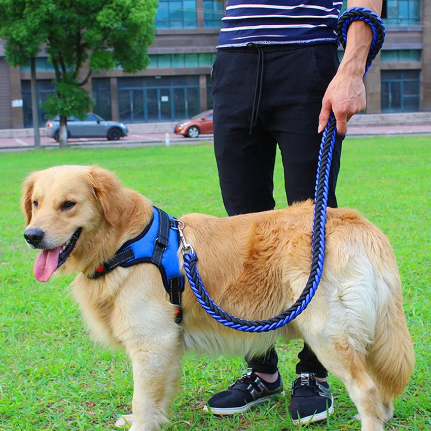 Dog leash chest strap saddle strap strong nylon breathable mesh filled sponge safety button black red camouflage