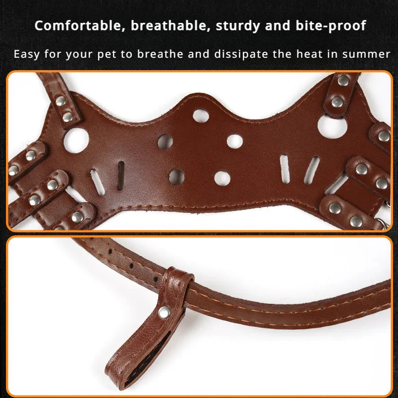 Black dog muzzle silencer for anti-barking and bite prevention, sized for medium dogs with adjustable straps