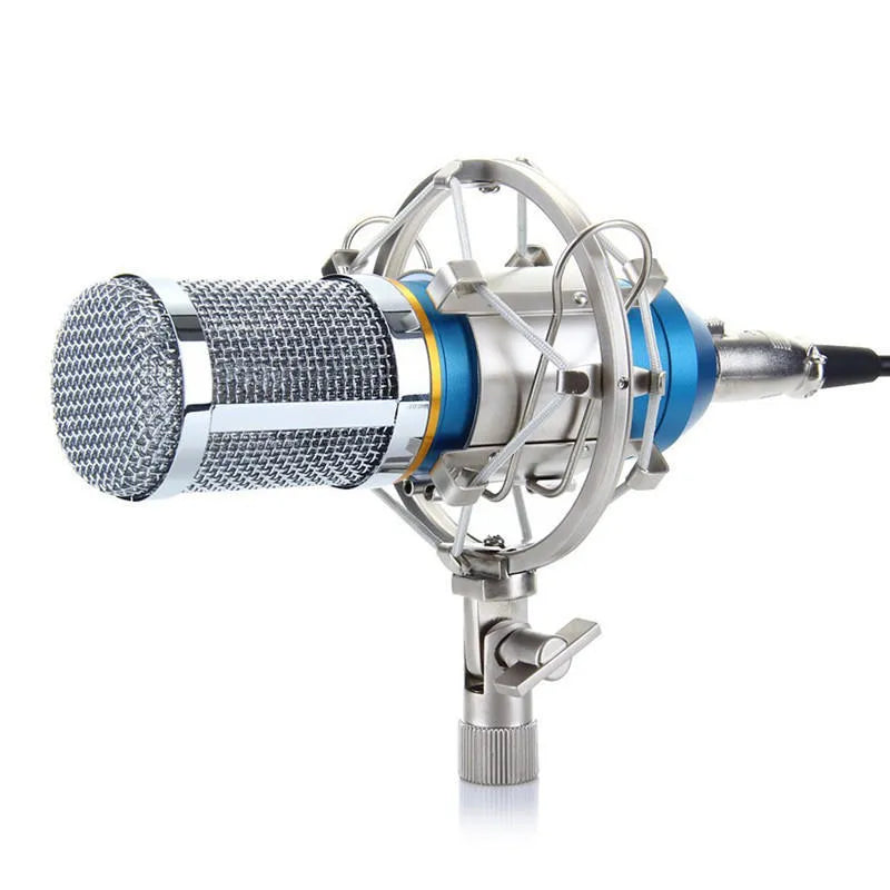 NW-800 black metal condenser microphone with shock mount and foam cap on stand