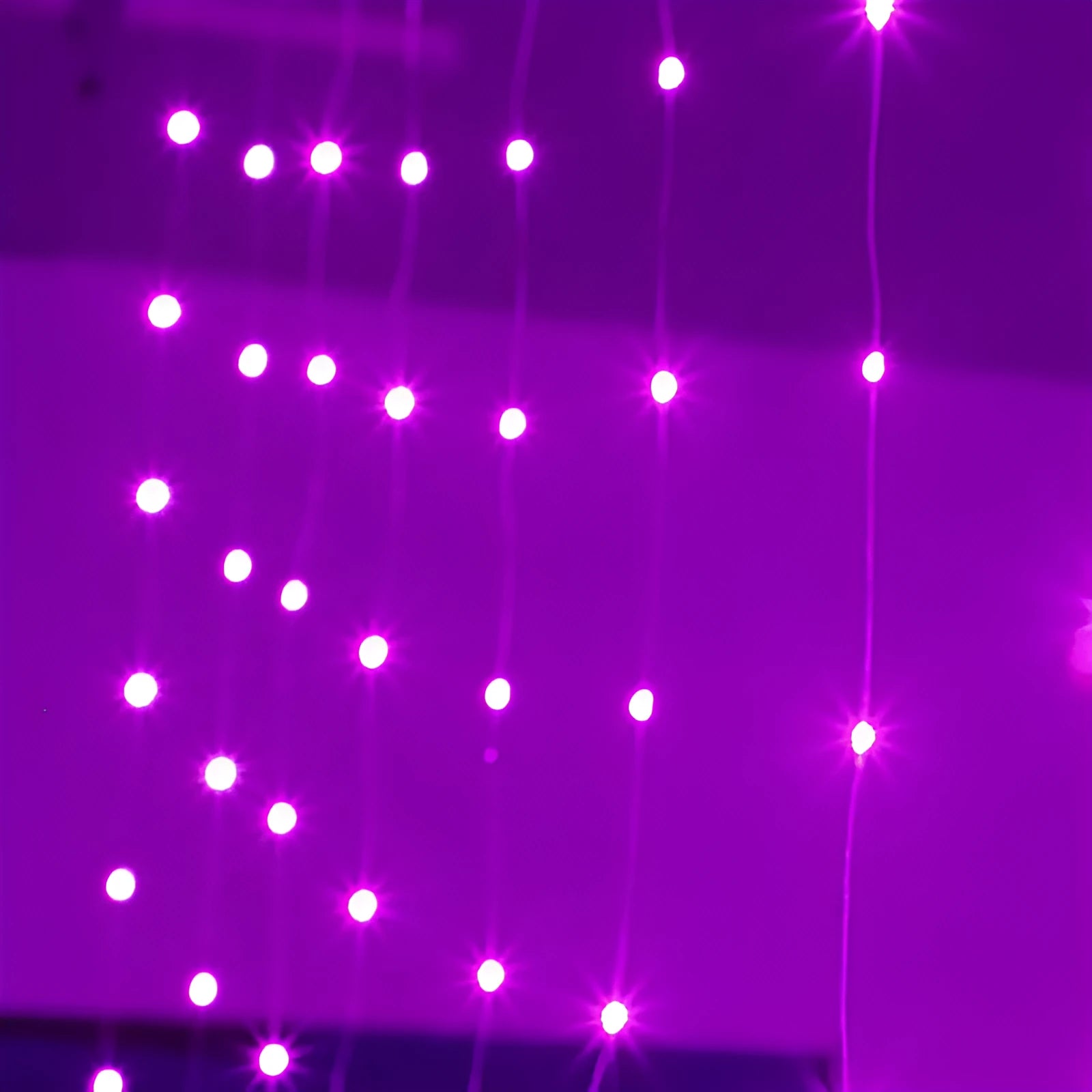 Copper curtain fairy lights with 100 LED beads in blue, purple, warm white and white colour options